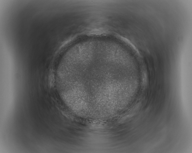 X0000108481350200905151214