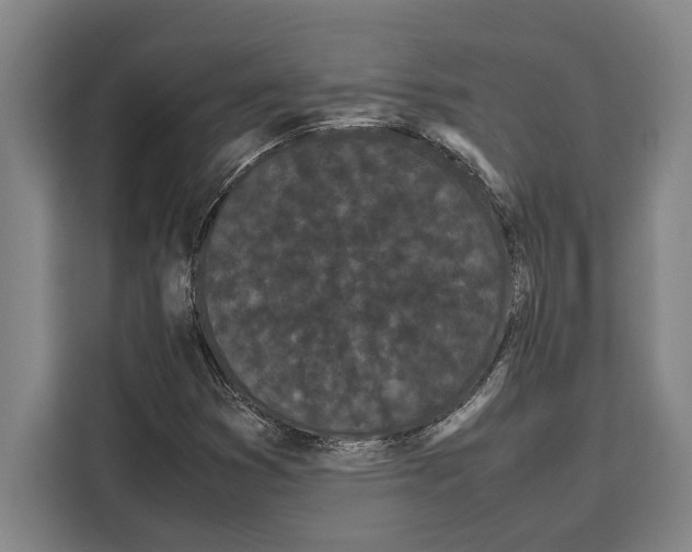 X0000108481353200905151214