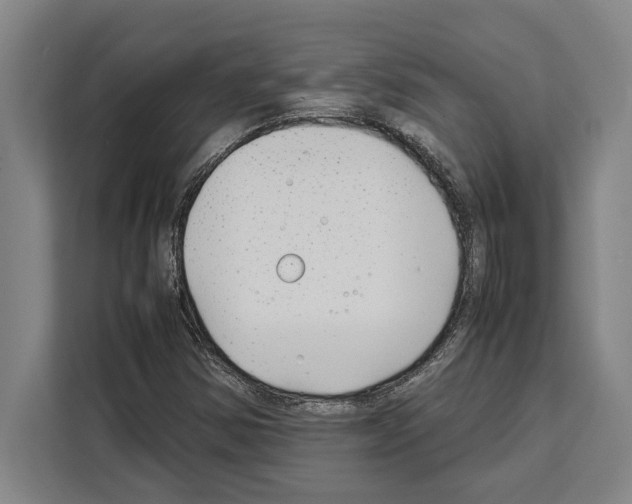 X0000108481354200905151214
