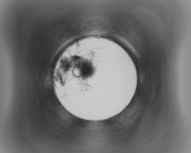 X0000108481356200905151214