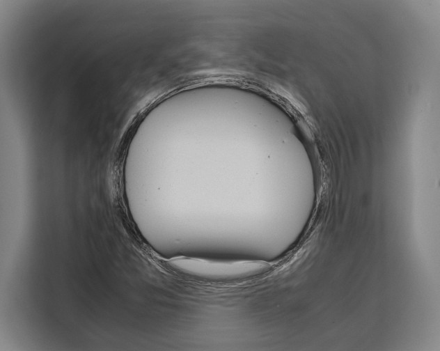 X0000108481357200905151214