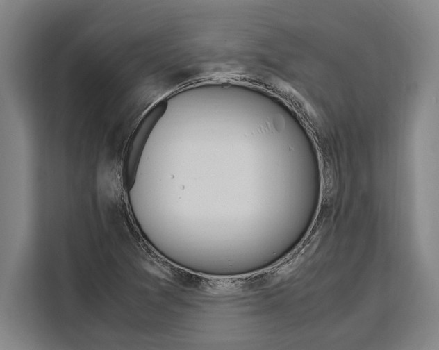 X0000108481361200905151214