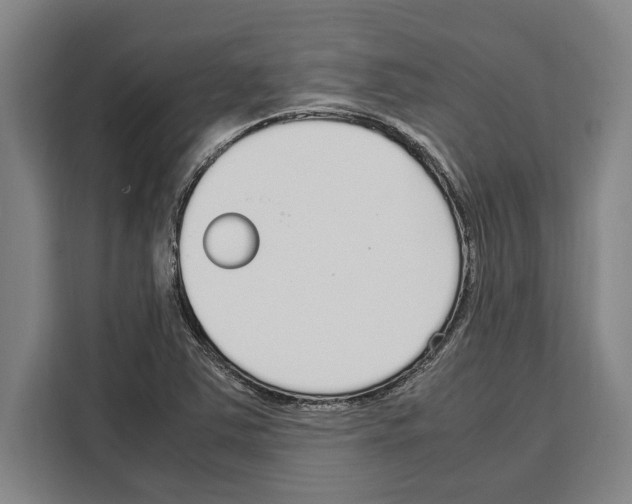 X0000108481363200905151214
