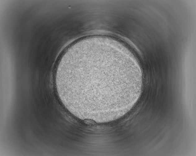 X0000108481364200905151214