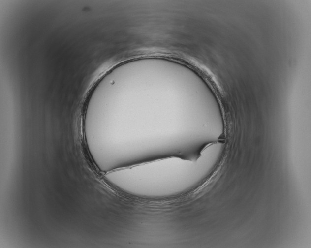 X0000108481365200905151214