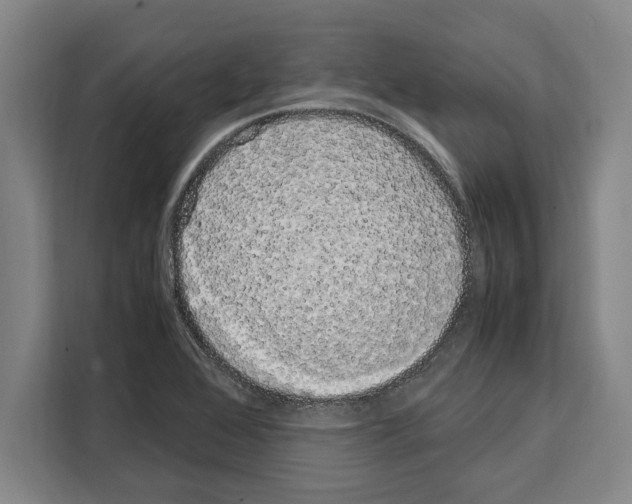 X0000108481368200905151214