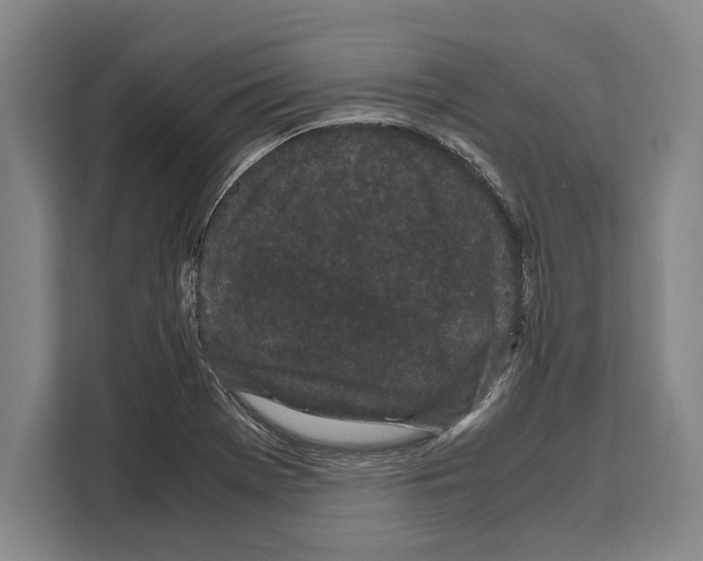 X0000108481369200905151214