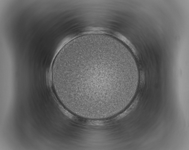 X0000108481370200905151214