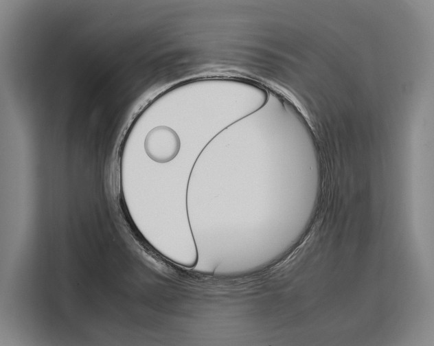 X0000108481371200905151214