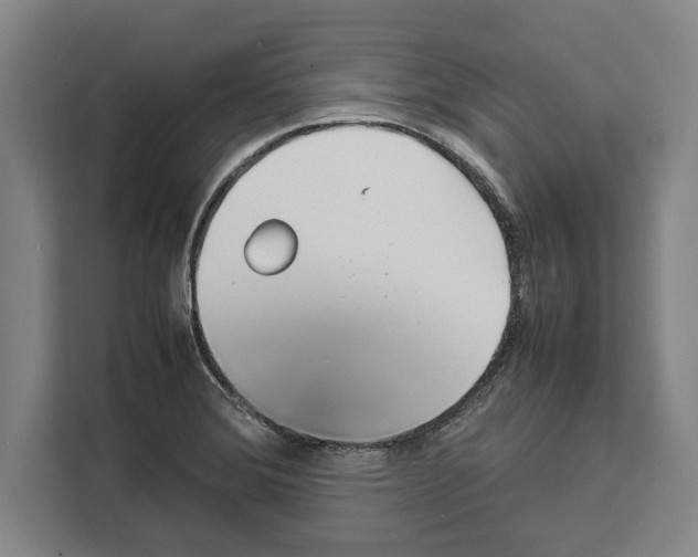 X0000108481372200905151214