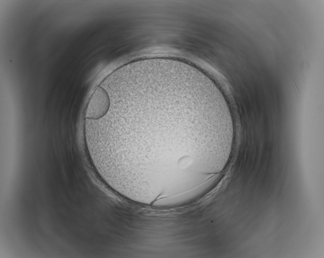 X0000108481374200905151214