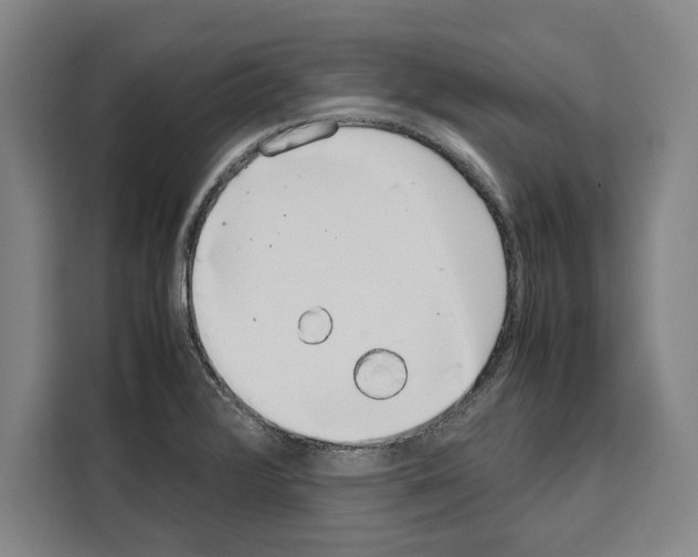 X0000108481376200905151214