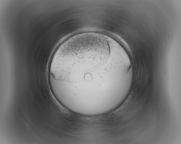 X0000108481380200905151214