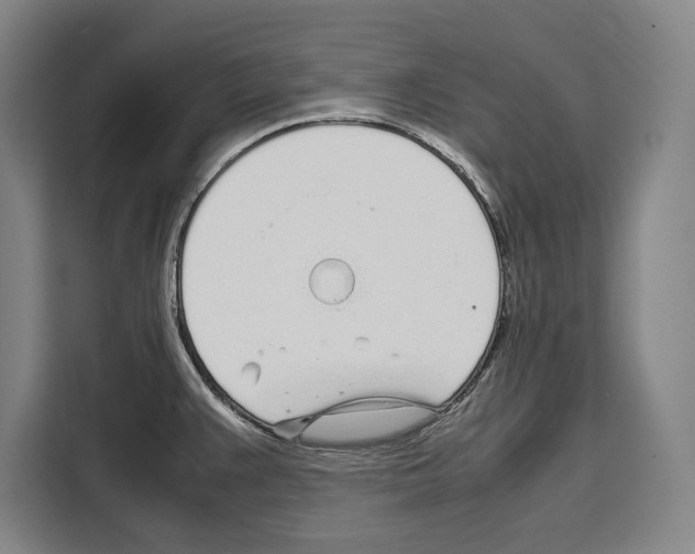 X0000108481383200905151214