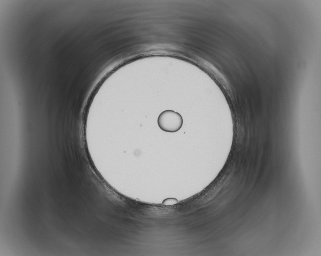 X0000108481384200905151214