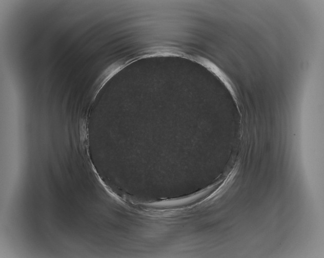 X0000108481385200905151214