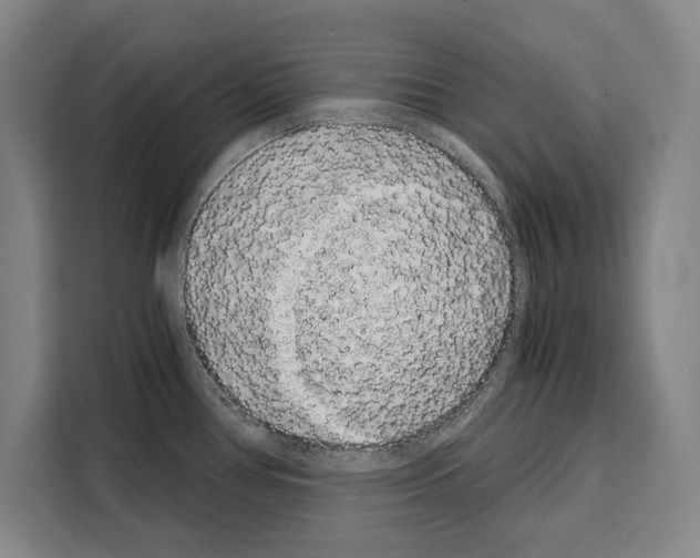 X0000108481386200905151214
