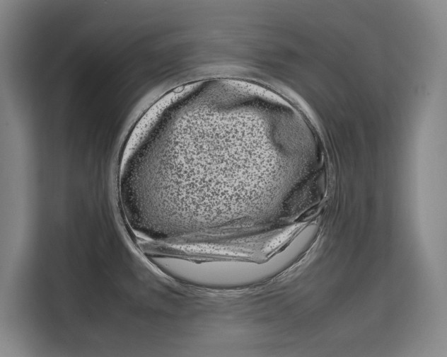 X0000108481389200905151214