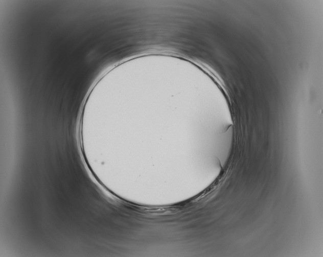 X0000108481391200905151214