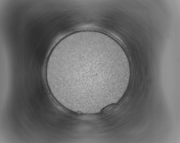 X0000108481392200905151214