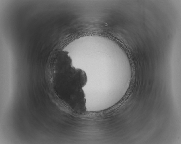 X0000108481396200905151213