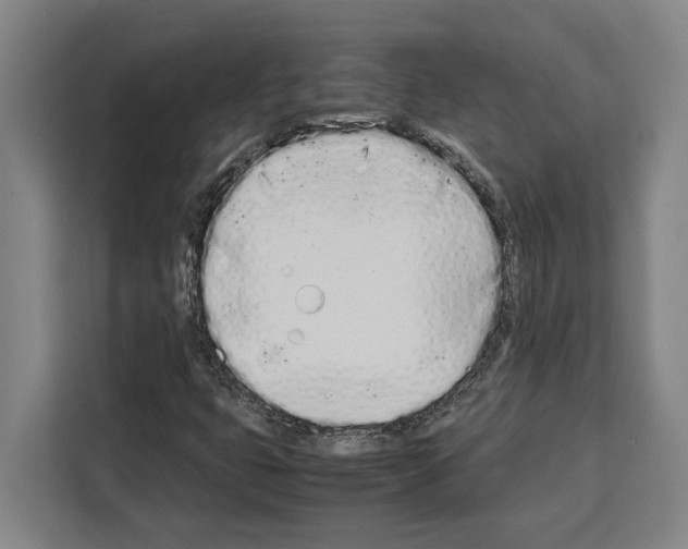 X0000108481399200905151213