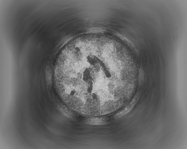 X0000108481401200905151213