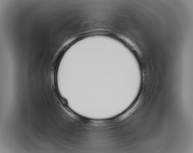 X0000108481402200905151213