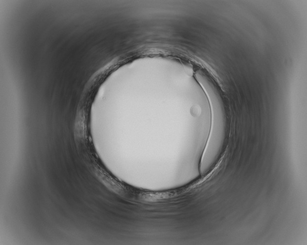 X0000108481403200905151213