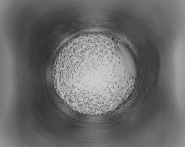 X0000108481404200905151213