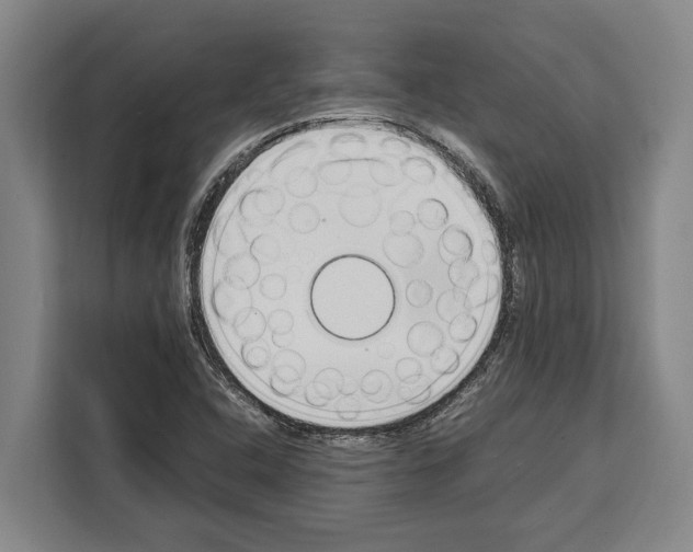 X0000108481408200905151214