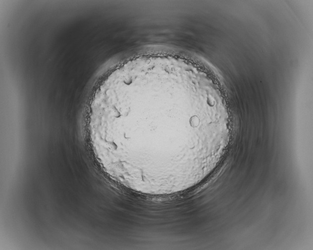 X0000108481411200905151214