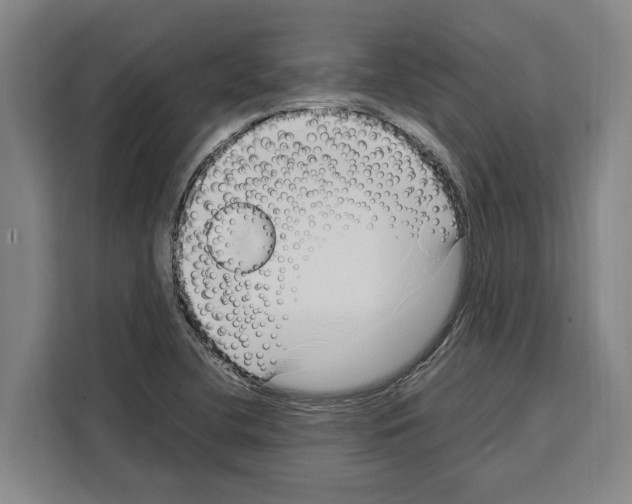X0000108481412200905151214