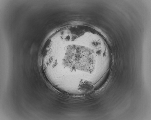 X0000108481413200905151214