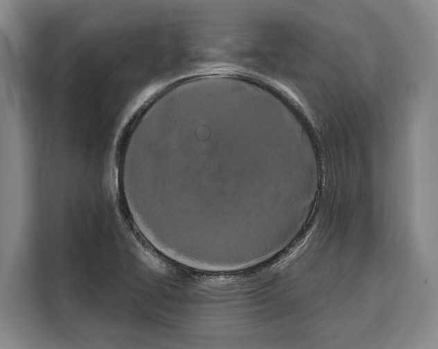 X0000108481414200905151214