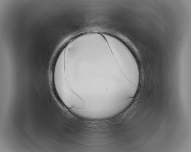 X0000108481416200905151214
