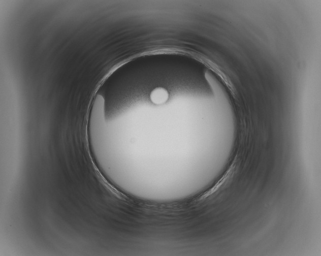 X0000108481417200905151214