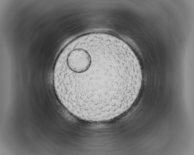 X0000108481420200905151214