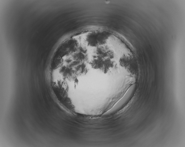 X0000108481421200905151214