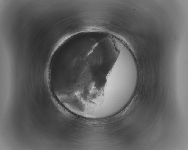 X0000108481422200905151214