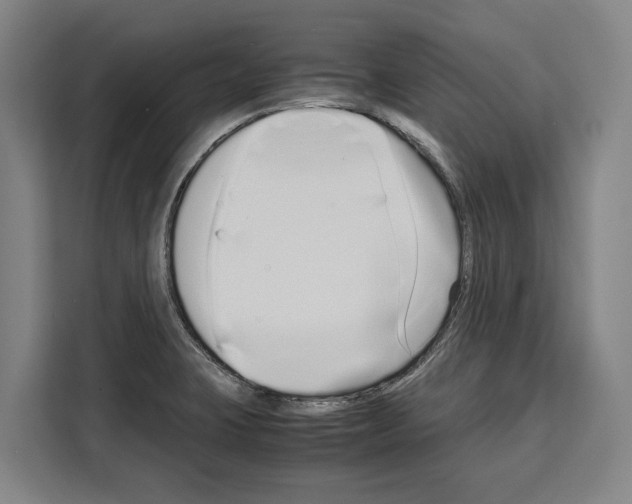 X0000108481423200905151214