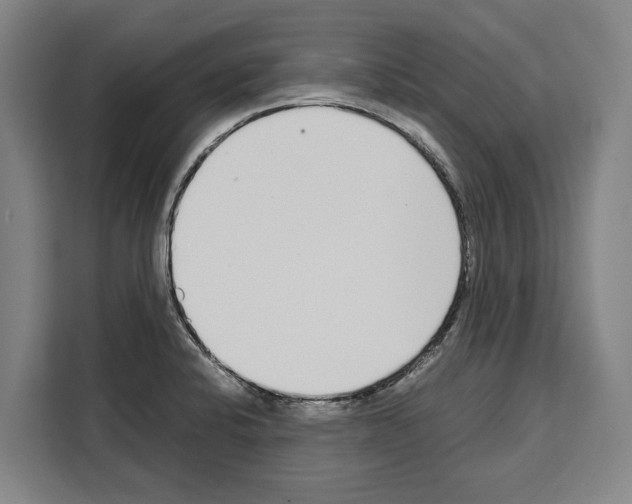 X0000108481424200905151214