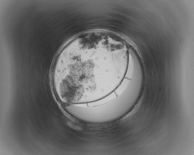X0000108481425200905151214