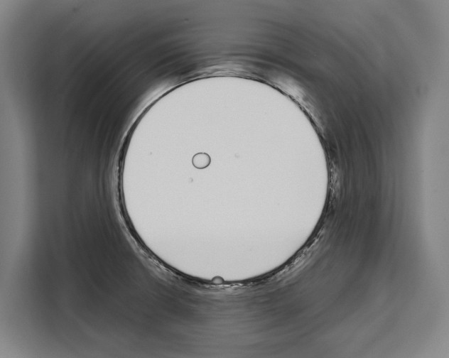 X0000108481426200905151214