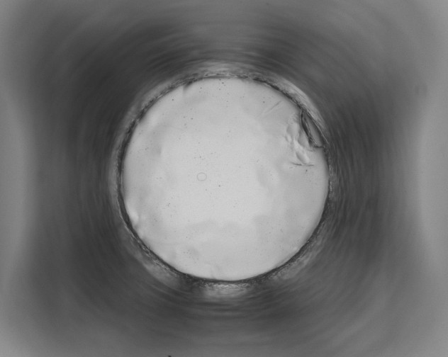 X0000108481427200905151214
