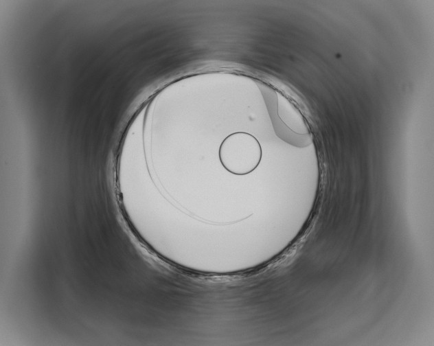 X0000108481430200905151214