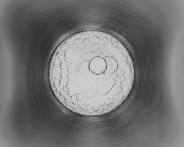 X0000108481432200905151214