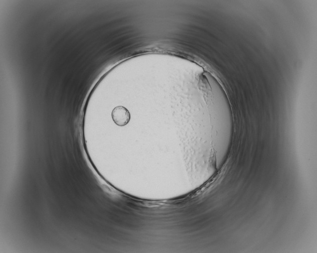 X0000108481434200905151214