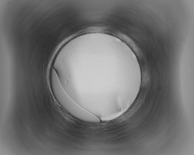 X0000108481435200905151214