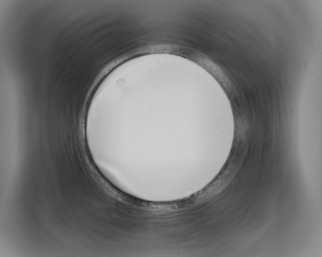 X0000108481436200905151214
